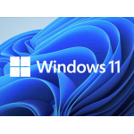  Microsoft Windows 11 Professional 32/64-Bit (Online aktivácia)